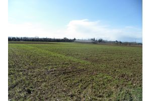 Cultivation of local varieties by HAO-DEMETER for the development of climate-smart agricultural practices