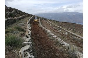 Cultivation of terraced fields